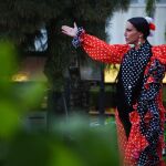 ANDALUCÍA.-La Junta colaborará con más de sesenta festivales y eventos de flamenco en municipios de menos de 100.000 habitantes