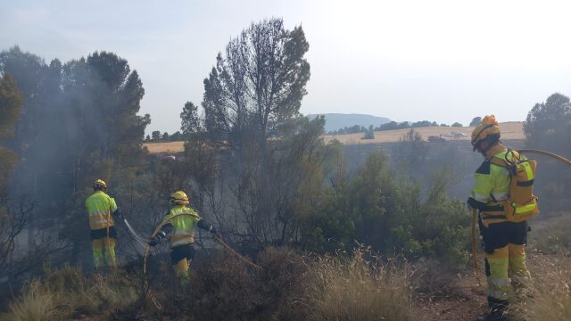 Bomberos estabilizan en dos horas un incendio forestal en Ayora (Valencia)
