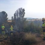Bomberos estabilizan en dos horas un incendio forestal en Ayora (Valencia)