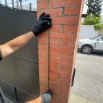 Serpiente venenosa atrapada en una vivienda de Algeciras