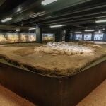 Yacimiento de Canovelles