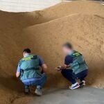 Imagen del arroz sustraído de una cooperativa sevillana