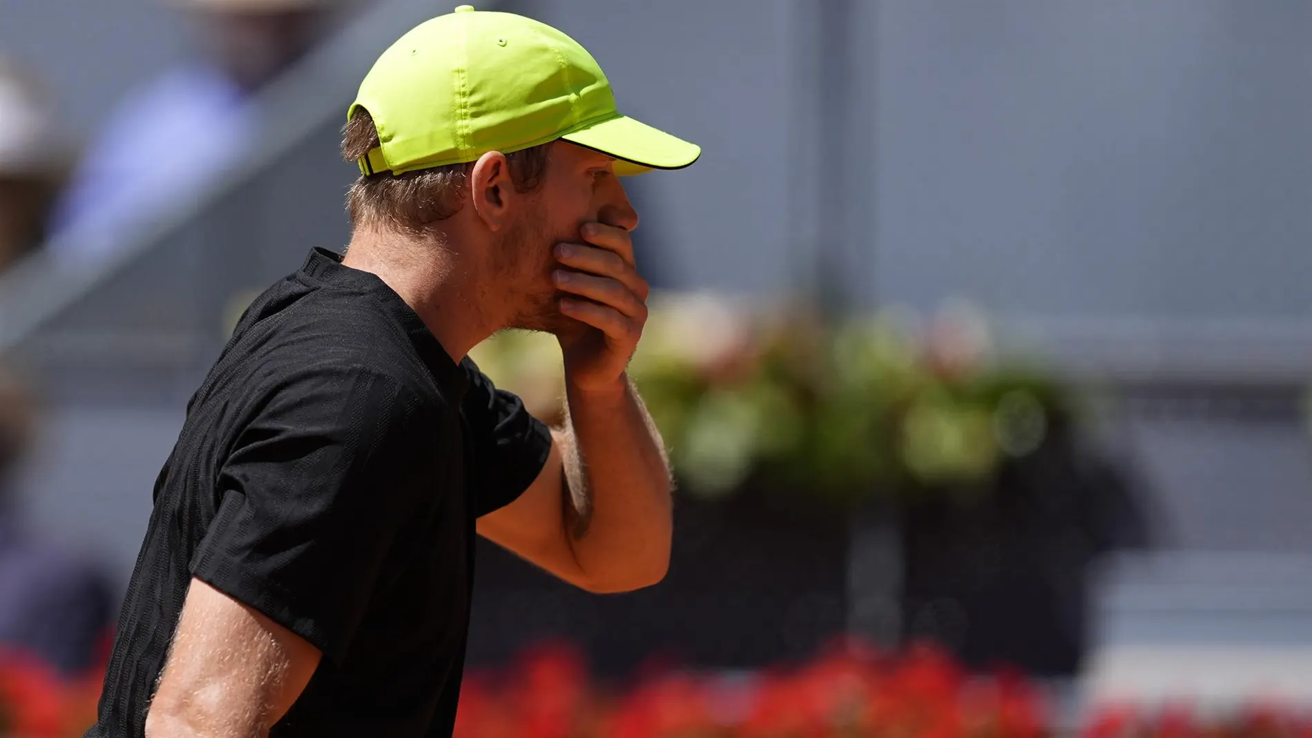 MURCIA.-Alejandro Davidovich se retira de Queen's y Alcaraz debutará ante Adam Walton
