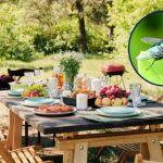Así puedes mantener alejadas de la mesa a las moscas durante las comidas en verano