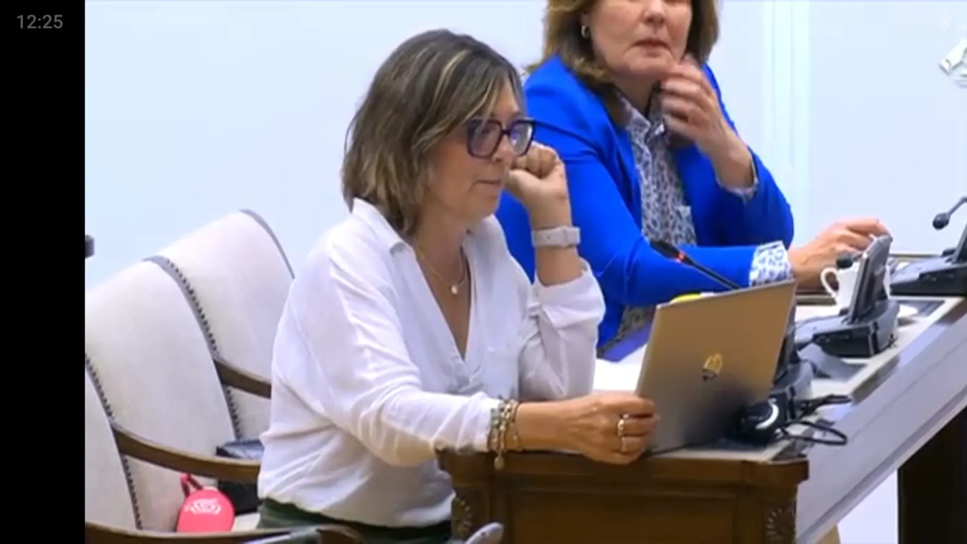Milagros Marcos durante su intervención ante el secretario de Estado