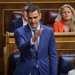 E presidente del Gobierno, Pedro Sánchez, hoy en el Congreso