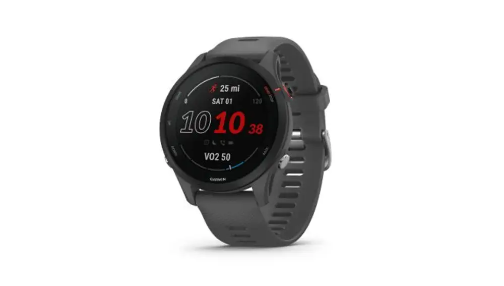 Garmin Forerunner 255