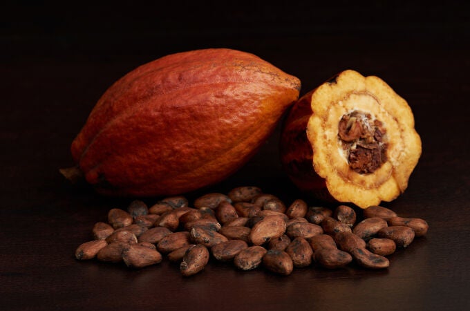 Vaina del cacao con las semillas secas 2