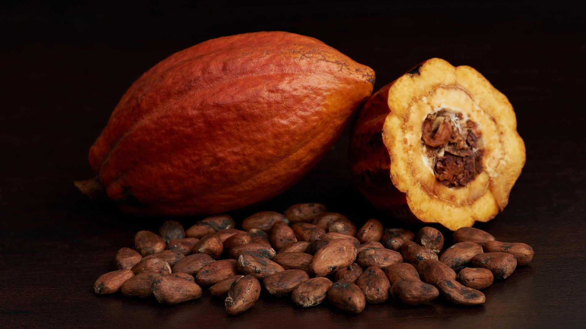 Vaina del cacao con las semillas secas 2