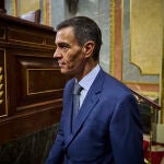 Sesión de control al Gobierno en el Congreso de los Diputados. Comparece el presidente del Gobierno, Pedro Sán