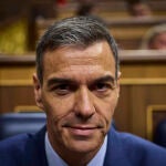 Sesión de control al Gobierno en el Congreso de los Diputados. Comparece el presidente del Gobierno, Pedro Sán