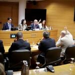 Las comparecencias de la comisión de investigación de la dana en Les Corts arrancarán el 1 de julio con expertos