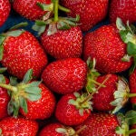 ¿Cómo saber si las fresas que comes son de España o de Marruecos?