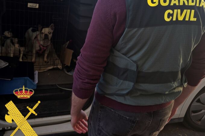 Operación 'Cobaka' contra la cría y venta ilegal de animales en Roquetas de Mar