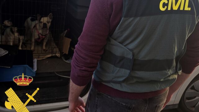 Operación 'Cobaka' contra la cría y venta ilegal de animales en Roquetas de Mar