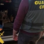 Operación 'Cobaka' contra la cría y venta ilegal de animales en Roquetas de Mar