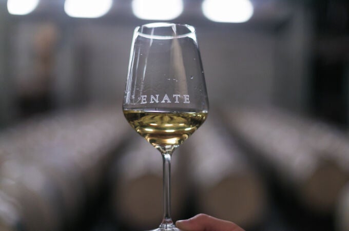 Una amplia gama de vinos 