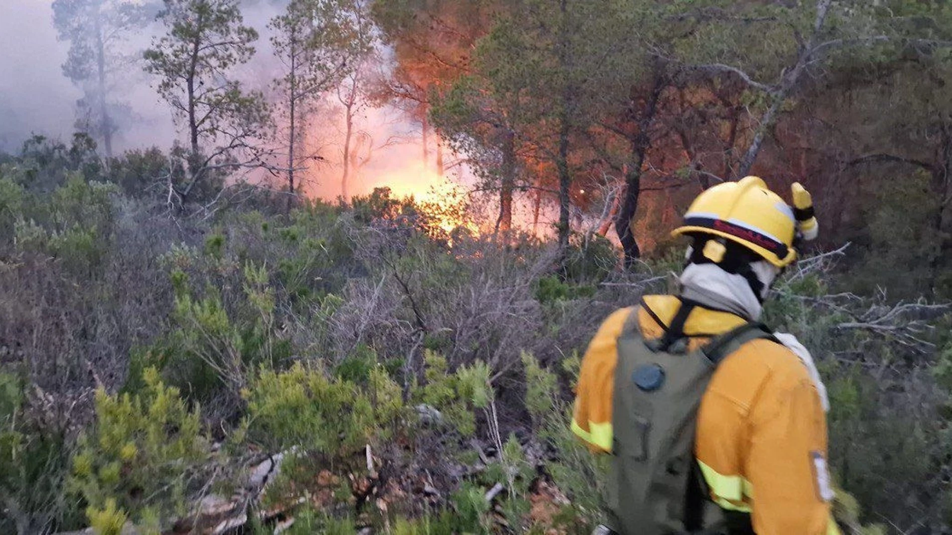 Foto del conato de incendio en El Berro (Alhama de Murcia) facilitada por la Unidad de Defensa contra los Incendios Forestales REMITIDA / HANDOUT por UNIDAD DE DEFENSA CONTRA LOS INCENDIOS FORESTALES Fotografía remitida a medios de comunicación exclusivamente para ilustrar la noticia a la que hace referencia la imagen, y citando la procedencia de la imagen en la firma 19/06/2025