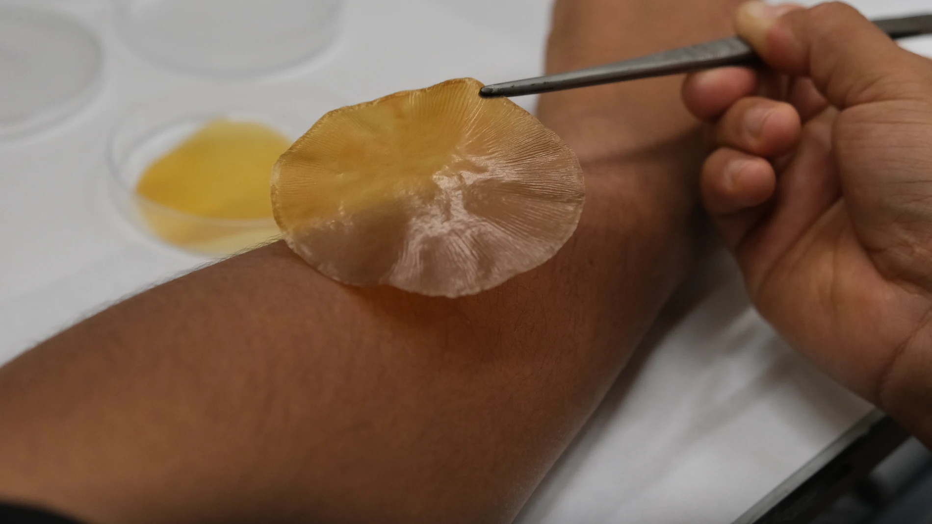 El material reacciona a la luz solar y crea moléculas que evitan el crecimiento de bacterias