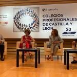 Jornada en la que han participado, entre otros Enrique Ruiz Forner e Isabel Galán