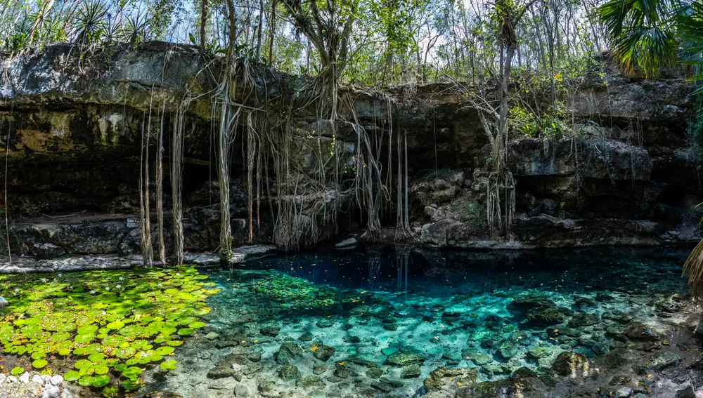 Exterior del cenote Xbatún