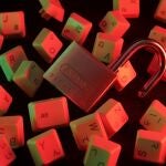La ciberseguridad, el gran reto al que se enfrentan las empresas y los usuarios de plataformas de Internet