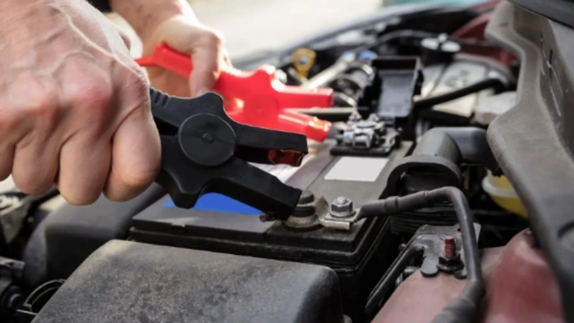 cargador inteligente de 12V