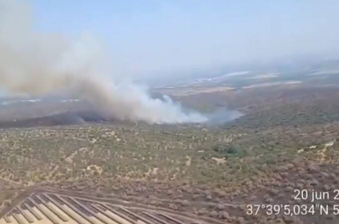 Incendio forestal en Sevilla