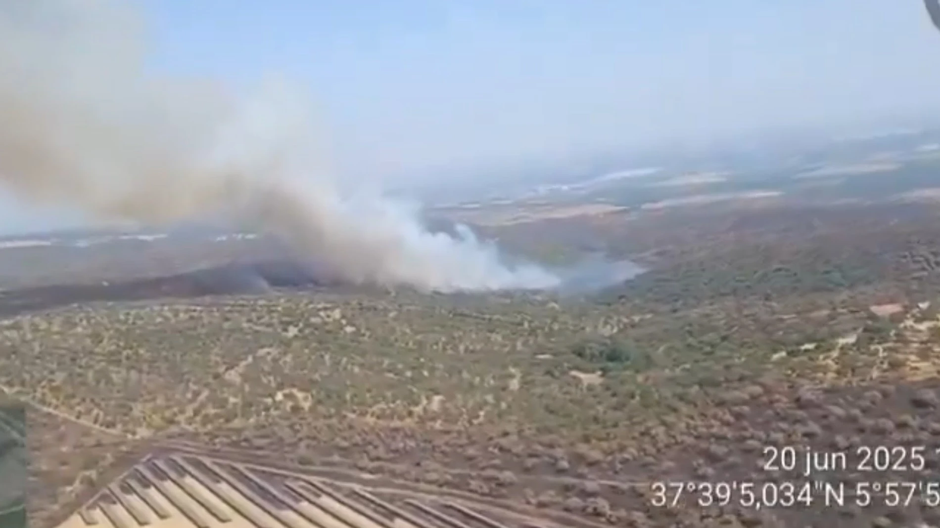 Incendio forestal en Sevilla