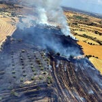 La Generalitat ordena confinarse a los vecinos de Cervera por el incendio de Granyena
