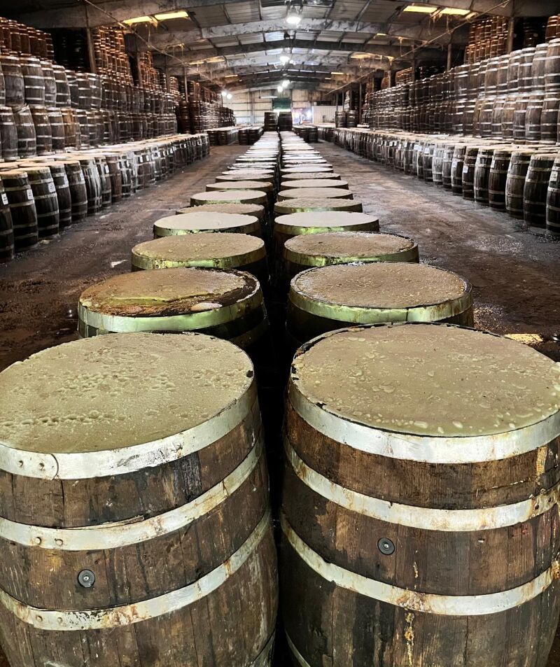 Barriles de salsa Tabasco en la fábrica de Avery Island, Luisiana