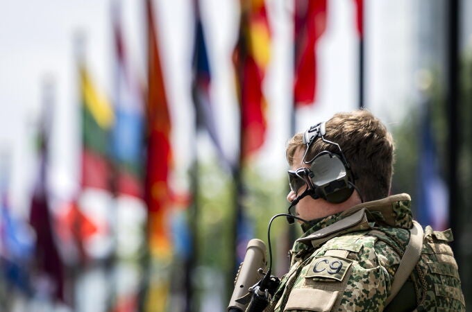The Hague prepares to host NATO summit