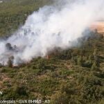 Declarado un incendio forestal próximo a la Sierra Mariola en Bocairent