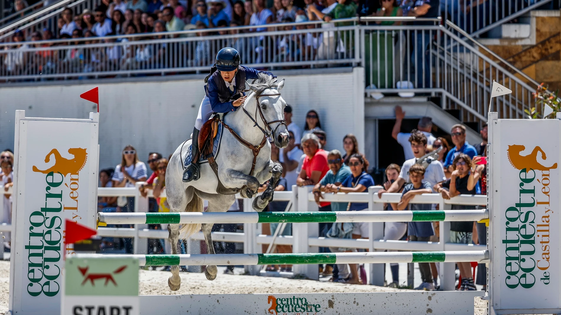 XXXVII Campeonato de España de Ponis que se celebra en Segovia