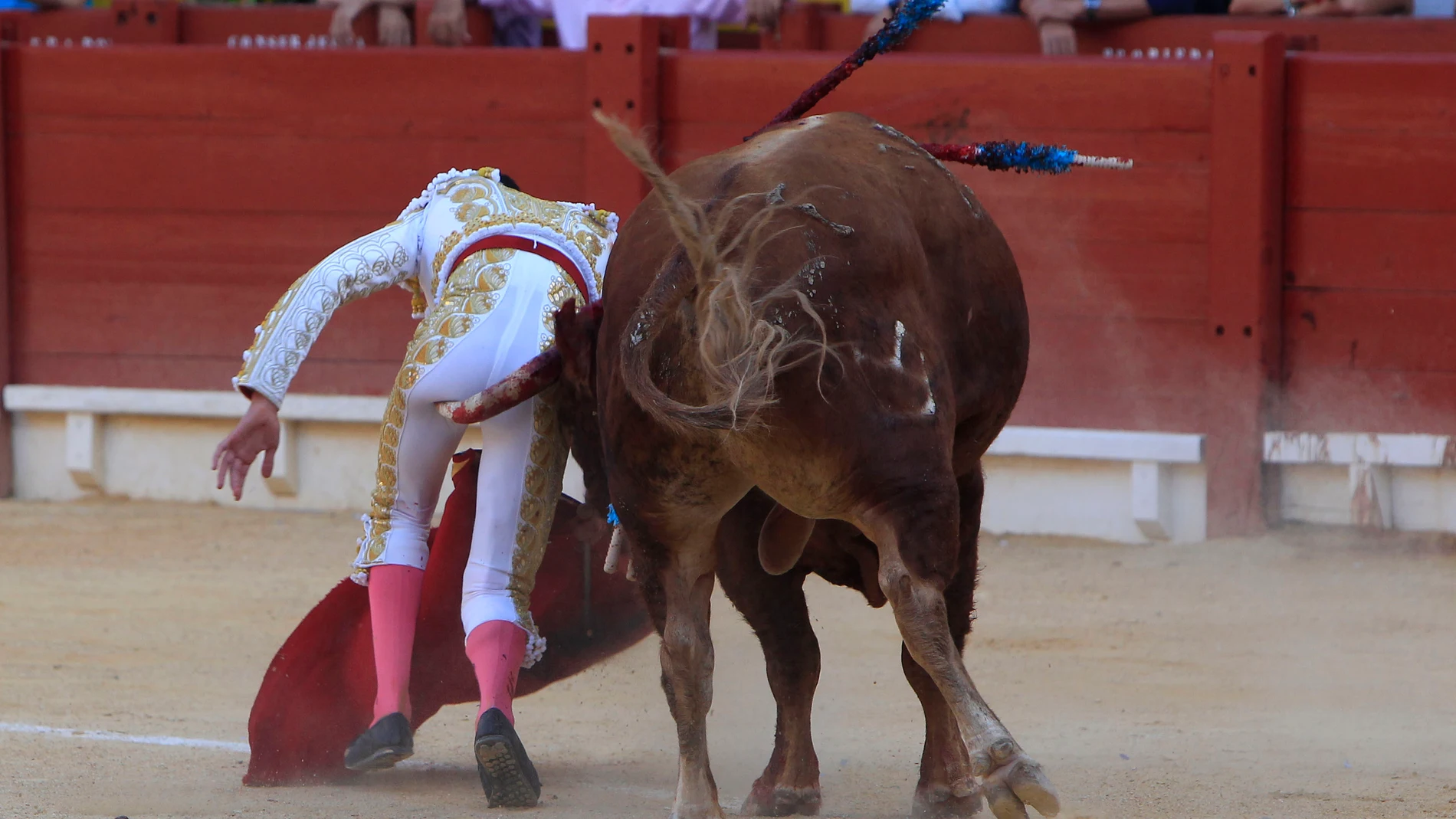 ALICANTE, 22/06/2025.- El diestro Marcos Pérez con su primero durante la corrida de toros de la Feria de Hogueras, este domingo en Alicante.EFE/Morell