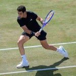 ATP Mallorca Championships de tenis
