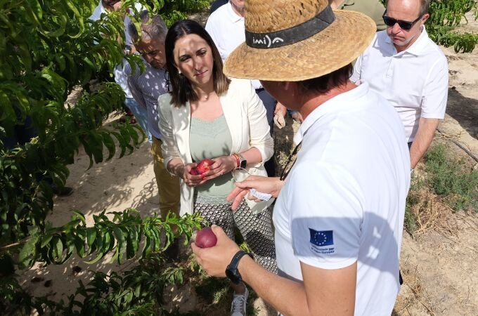 Comunidad última los trámites para el registro de tres nuevas variedades de fruta de hueso desarrolladas por el Imida