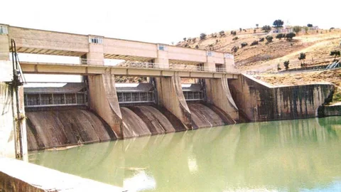 Presa de Almoguera (Guadalajara).