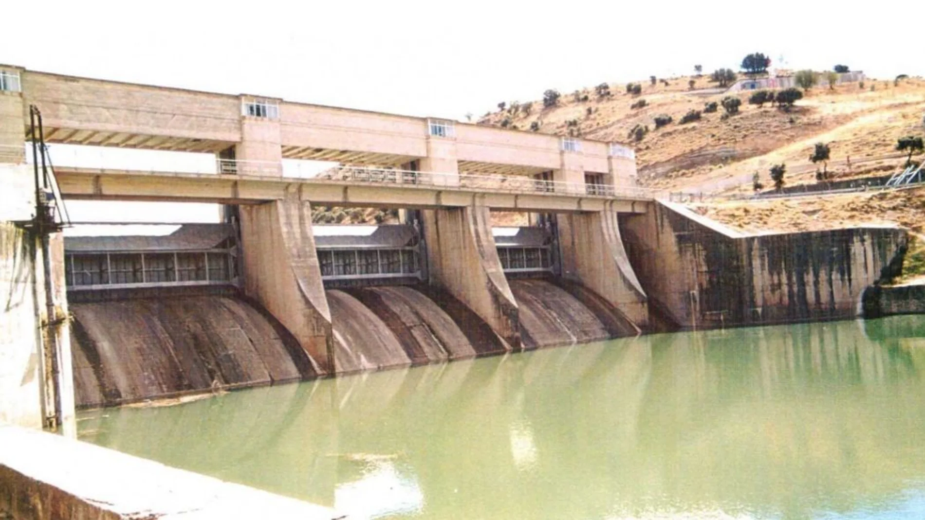 Presa de Almoguera (Guadalajara).