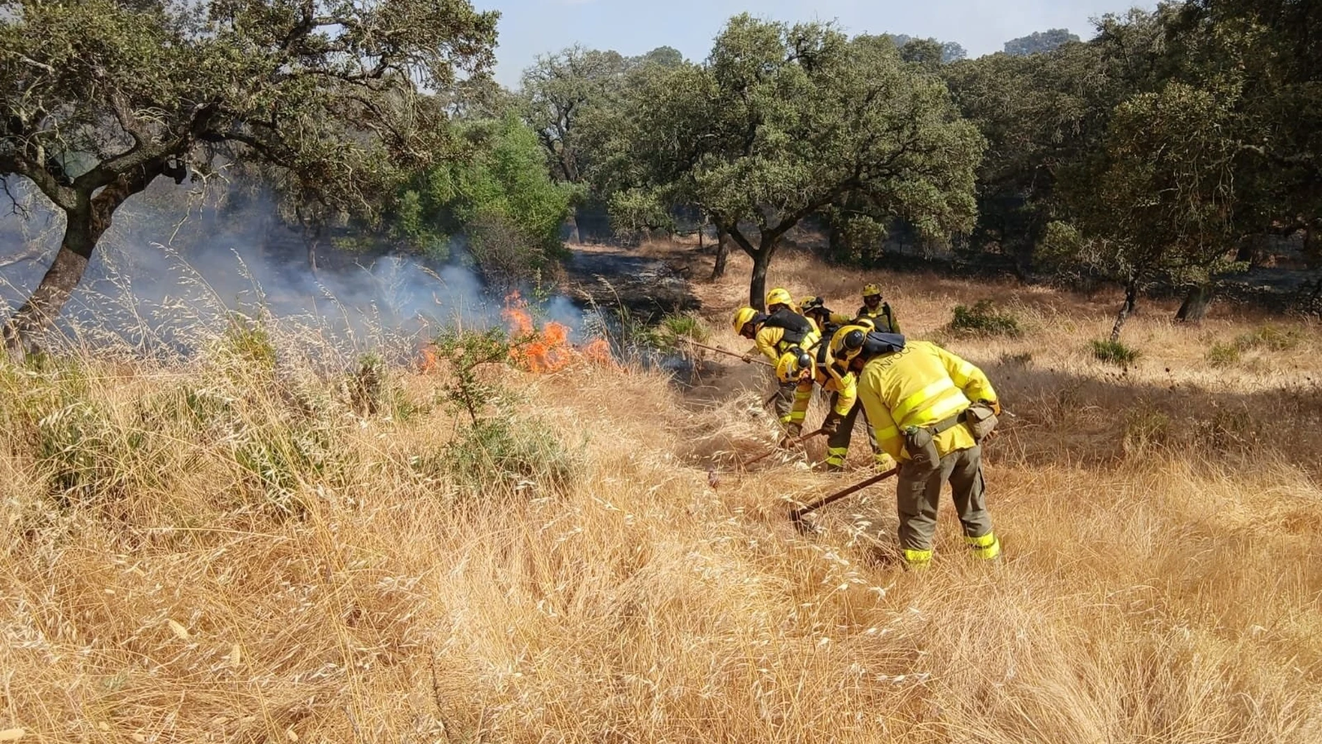 Bomberos trabajando en el incendio forestal de Zalamea la Real en Huelva