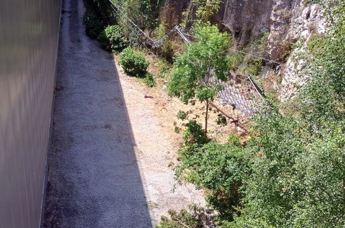 ASTURIAS.-Cultura finaliza las obras de refuerzo del talud situado tras el Centro de Arte Rupestre 'Tito Bustillo'