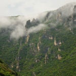 Así es la sierra gallega que esconde árboles centenarios y hace de frontera con Castilla y León
