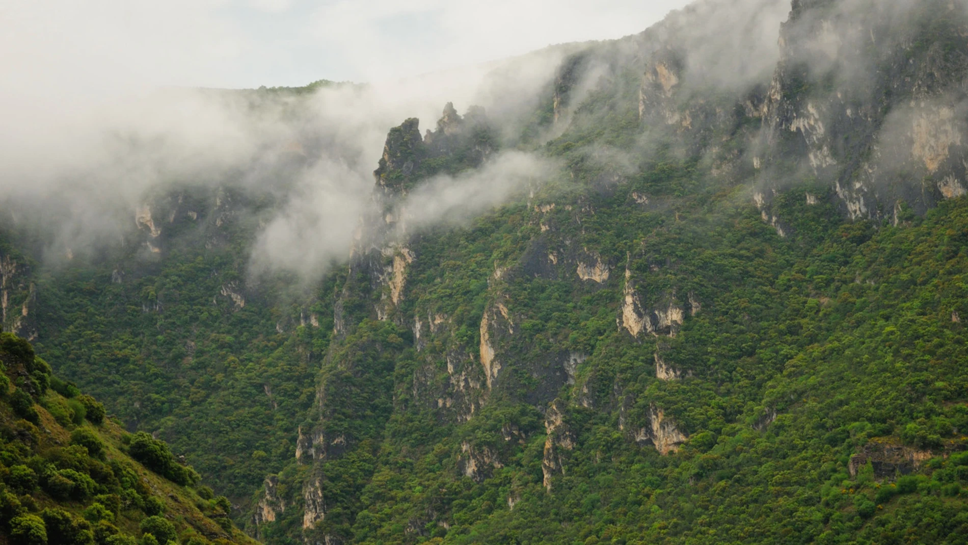 Así es la sierra gallega que esconde árboles centenarios y hace de frontera con Castilla y León