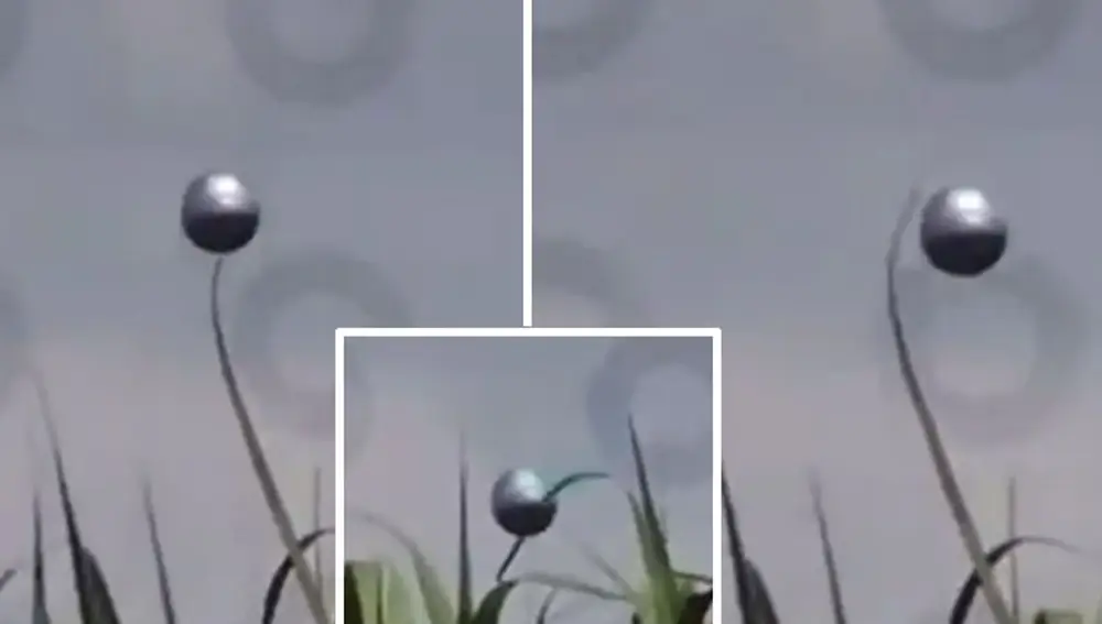 En estos fotogramas se ve como la esfera pasa por delante o atraviesa (en el centro) las hojas