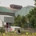 Sucesos.-Se mantiene el dispositivo por el oso avistado en Reinosa (Cantabria) aunque se habría ya adentrado en el monte