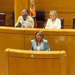 El Consell, en pie de guerra contra el Gobierno Central por las "improvisaciones" de la política de vivienda