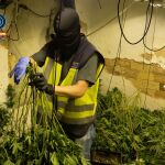 MURCIA.-Sucesos.- Detenidas 9 personas de una red criminal dedicada al cultivo de marihuana en Alcantarilla y Sangonera la Seca