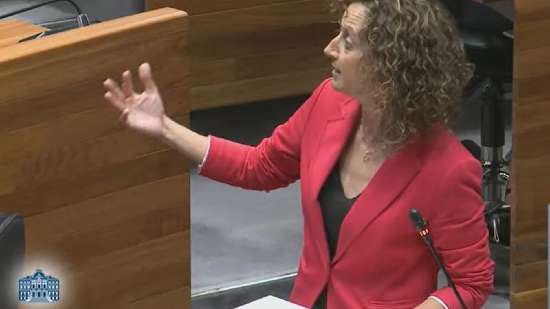 ASTURIAS.-Pleno.- Ledo reitera como prioridad es el reconocimiento de la labor del profesorado como pieza angular del sistema