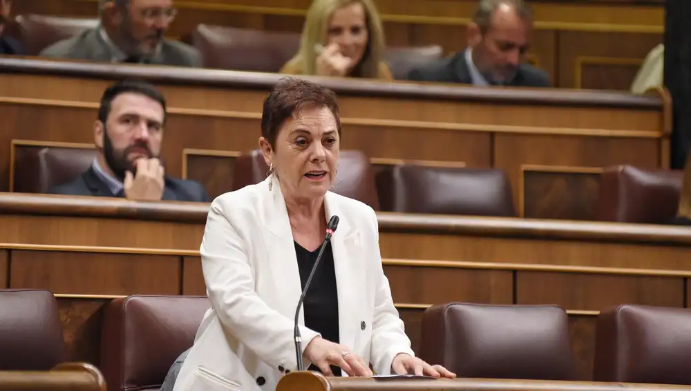 Mertxe Aizpurua, actual portavoz de Euskal Herria Bildu en el Congreso