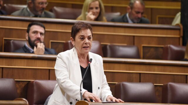 Mertxe Aizpurua, actual portavoz de Euskal Herria Bildu en el Congreso